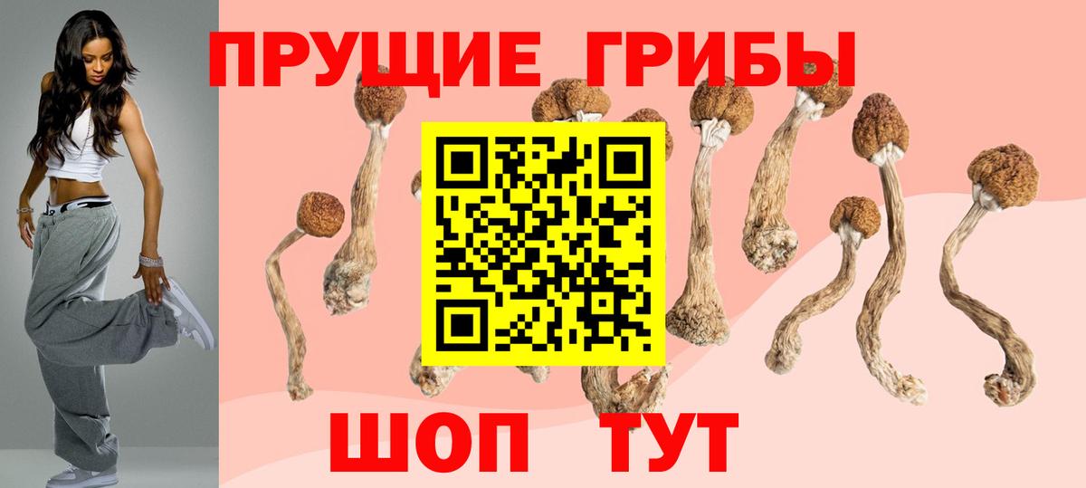 Галлюциногенные грибы мицелий  Псилоцибиновые грибы мицелий  Вход с VPN  Улан-Удэ 